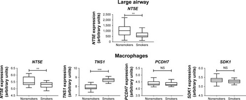 Figure 6 Gene Expression Omnibus database analysis of the four genes downregulated in COPD small airway, large airway, and alveolar macrophages.