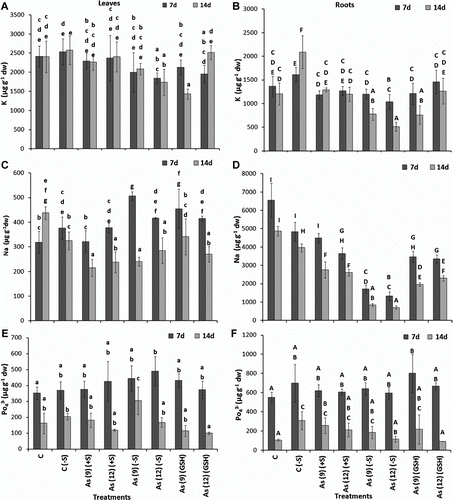 Figure 3.  Levels of K (µg g−1 dw) in the leaves (A) and roots (B), Na in the leaves (C) and roots (D), PO4 in the leaves (E) and roots (F) of Zea mays treated with arsenate and different levels of sulfur. All values are mean of four replicates±SD. Bars marked with same letters are not significantly different (Duncan's test, p<0.05).