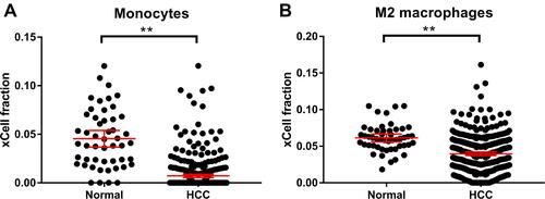 Figure 6 Comparisons of monocytes (A) and M2 macrophages (B) between HCC and normal tissues using xCell. Median with 95% confidence interval were shown as red lines. **P<0.001.