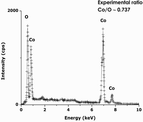 Figure 3. Typical electron dispersion spectrometry profile of the annealed cobalt oxide nanoparticles.