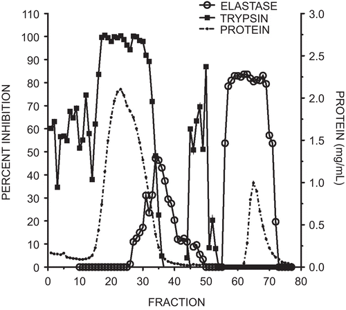 Figure 1.  Elution profile of elastase and trypsin inhibitory activity from marama bean extracts using an elastase affinity column. The column wash included fractions 1–50 and the citrate elution fractions 51–77. Protein quantity measured at 280 nm is illustrated by the dotted line, trypsin inhibitory activity by squares, and elastase inhibition by open circles. Each fraction was 2 mL. Inhibitory activity was expressed as a percent of the control with no added inhibitor.