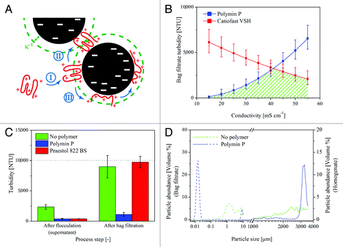 Figure 1. Effect of flocculants on turbidity and particle size distribution. (A) Charged polymers (red) initially bind to particles of opposite charge (black) in a coiled state (I). Depending on the relaxation time tR, adsorption time tA, and collision time tC, the polymer can then either interact with a second particle to form bridges (II) if the polymer extends beyond the inverse Debye length (green dashed line, κ−1) or adopt an expanded conformation (III) and neutralize the surface charges of the particle.Citation10,Citation14 (B) The selective use of different flocculants, e.g., according to the conductivity of the feed stream, facilitates a constantly low bag filtrate turbidity (area hatched in green) over a wide parameter range (data for pH 8.0, 30 min incubation, 4 g L−1 polymer concentration). Error bars indicate standard deviation of the model prediction. (C) Some polymers may induce flocculation and yield a clear supernatant, but if these flocks are fragile, they will be disrupted by filtration and the clarified extract will remain turbid (Praestol 822 BS). The initial homogenate turbidity is indicated by the dotted line. Error bars indicate standard deviation, n ≥ 3. (D) Before filtration, particles in the flocculated extract (solid blue) are generally larger (~3200 µm) than those in the untreated controls (solid green, ~2500 µm). After bag filtration, the polymer-free extract still contains large amounts of particulates in the 0.5−10 µm range (dashed green), whereas the flocculated sample (dashed blue) contains only a small fraction of particles in the 10-µm range. The majority of the dispersed particles in the filtered, flocculated samples were ~15 nm in diameter (the approximate size of antibodies and ribulose-1,5-bisphosphate carboxylase oxygenase oligomers).