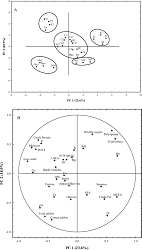 Figure 1. Principal component loadings plot (A) and scores plot (B) for the two first principal components for all parameters under study. Figura 1. Diagrama de cargas de componentes principales (A) y gráfica de resultados (B) de los dos componentes principales para todos los parámetros estudiados.