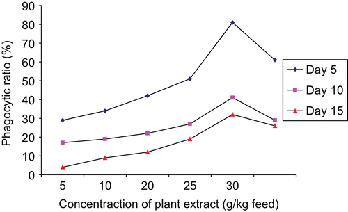 Figure 1.  Efficiency of plant extract, Aegle marmelos, on phagocytic ratio of the freshwater fish Catla catla.