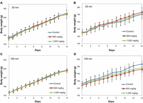 Figure 1 Body weight gains of male and female rats administered 20 nm or 100 nm silica nanoparticles.Notes: (A) Male rats administered 20 nm silica nanoparticles. (B) Female rats administered 20 nm silica nanoparticles. (C) Male rats administered 100 nm silica nanoparticles. (D) Female rats administered 100 nm silica nanoparticles. No significant difference was observed versus untreated controls.