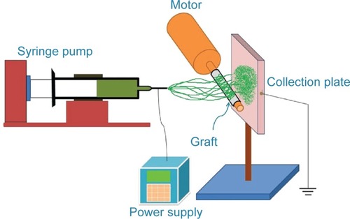 Figure 1 The electrospinning setup shown schematically.