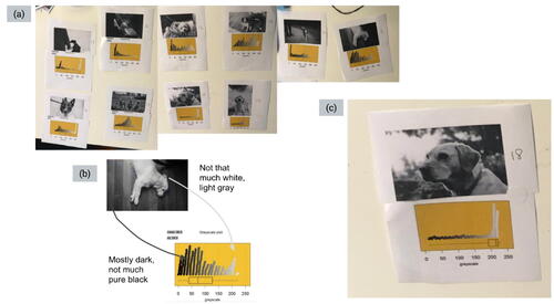 Fig. 8 Amelia and Ingrid’s connected photos and plots.