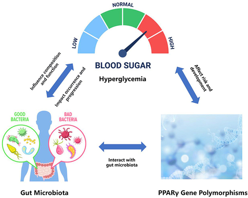 Figure 1 Mechanistic Interaction Model among Hyperglycemia, Gut Microbiota, and PPARγ Gene Polymorphisms.