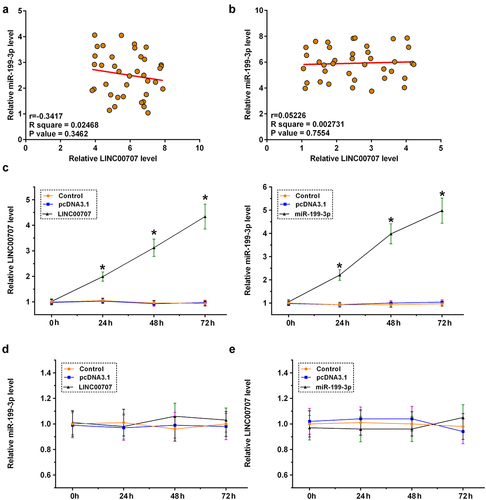 Figure 3. Analysis of the regulator roles of LINC00707 and miR-199-3p in the expression of each other. The direct interaction may indicate the regulator roles of LINC00707 and miR-199-3p in the expression of each other. Pearson’s correlation coefficient analysis was done to analyze the correlations between LINC00707 and miR-199-3p across OA (a) and control (b) samples. Chondrocytes were overexpressed with LINC00707 or miR-199-3p, and the overexpression was confirmed by RT-qPCR every 24 h until 72 h (c). The role of LINC00707 in the expression of miR-199-3p (d), and the role of miR-199-3p in the expression of LINC00707 (e) were analyzed by RT-qPCR. *p < 0.05.