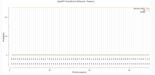 Figure 6. Signal peptide prediction for the Aa-bgl protein.