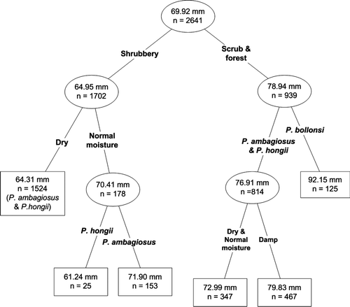 Figure 4  Mean shell height in relation to species, habitat factors of dampness level and vegetation type using a classification tree analysis. Mean shell heights in mm.