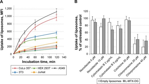 Figure 2 (A) Binding of BODIPY-PC-labeled MTX-DG liposomes versus empty ones with tumor cells (CoLo 357, A549, Jurkat) and “normal” cells (HEK 293T, 3T3) and (B) uptake of liposomes in the presence of inhibitors of some pathways of endocytosis and vesicle trafficking in A549 cells.Notes: The studies were performed by flow cytometry after incubation of cells with MTX-DG liposomes ([A] solid lines) or empty liposomes ([A] dashed lines) for various time periods at 37°C in serum-free medium or preincubation with nocodazole or cytochalasin B (for 1 hour) or chlorpromazine (for 30 minutes) and then exposure to MTX-DG liposomes (L-MTX-DG; [B] filled bars) or empty liposomes ([B] empty bars). The data of representative experiments are presented as mean ± standard error (for duplicate measurements of one experiment).Abbreviations: BODIPY-PC, fluorescently labeled phospholipid phosphatidylcholine; L-MTX-DG, liposomes loaded with MTX-DG (MTX-DG liposomes); MFI, mean fluorescence intensity; MTX, methotrexate; MTX-DG, lipophilic prodrug of methotrexate.