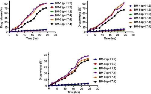 Figure 9 Lovastatin release studies at pH 1:2 and pH 7.4.