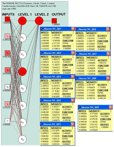 Figure 2 Network 8 and the weights of its different neurons.