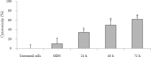 Figure 4.  Effect of incubation time of doxorubicin treatment on KB cell after treatment with HSA-coated liposome/ODN complexes. Cells were incubated with HSA-coated liposome/ODN complexes at HSA to liposome molar ratio of 1.5:100 and ODN concentration of 0.9 µM for 6 h, in growth medium for 24 h, and in growth medium containing 0.75 µM doxorubicin for 24, 48 and 72 h. *p < 0.005; #p < 0.001 compared with cells treated with ODN. HSA, human serum albumin; ODN, oligodeoxyribonucleotide.