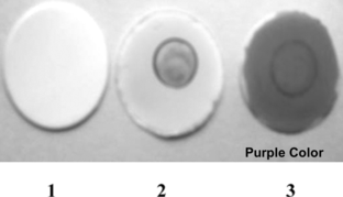 Figure 1 Covalent binding of enzyme on nitrocellulose membrane. (1) Nitrocellulose membrane. (2) Enzyme + Phenol red on nitrocellulose membrane. (3) Enzyme + Phenol red + Asparagine (10−1 M) → Purple Color.