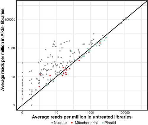 Figure 2. Demethylation treatment with AlkB increases the proportion of tRNA-seq reads for many tRNAs (points falling above the 1:1 line). Average read counts per million across three biological replicates are shown for each unique A. thaliana tRNA reference sequence in AlkB+ vs. untreated libraries