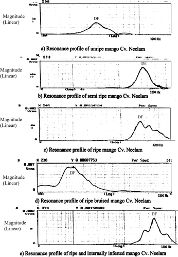 Figure 2 Typical acoustic fourier transform power spectra in frequency domain of mango (cv. Neelam) at different stages of ripening and under bruising.