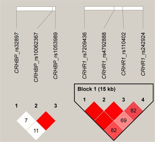 Figure 1 Haplotype block structure for CRHBP and CRHR1.