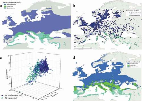 Figure 1. Myotis daubentonii and M. capaccinii European distribution following the IUCN Red List data (Kruskop et al. Citation2020; Hutson et al. Citation2010) (a), their occurrence localities in the study area (b), the three-dimensional plot showing the overlap of their Hutchinsonian climatic niche and (c) binarized predictions for the current scenario, also considering the areas of sympatry (d)