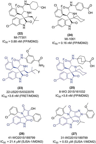 Figure 7. Structure and in vitro activity of exemplary MDM2 inhibitors based on spiro-oxindoles connected with 5-membered ring: pyrrolidine and pyrrolinone. The IC50 value for MI-77301 was is from [Citation96] and for MI-1061 from [Citation59].