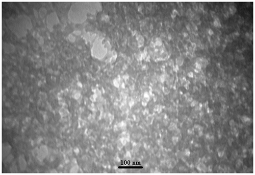 Figure 2 TEM Image of silica aerogel nanoparticles.