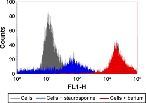 Figure 2 Apoptosis of colostral MN phagocytes exposed to barium (1 ng/nL) and staurosporine (Sigma-Aldrich Co., St Louis, MO, USA) indicated by fluorescence intensity.Notes: Cells were stained with Annexin V-FITC (Sigma-Aldrich Co.). Immunofluorescence analyses were carried out by flow cytometry (FACScalibur; BD Biosciences, San Jose, CA, USA).