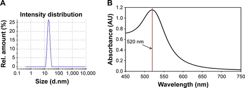 Figure S1 Characterization of synthesized AuNPs and antibody-AuNP conjugation. (A) Intensity distribution versus size of AuNPs solution (average size, ~20 nm) measure by Zetasizer; (B) ultraviolet–visible spectrum of ~20 nm AuNPs.Abbreviations: AU, arbitrary unit; AuNPs, gold nanoparticles; Rel, relative.