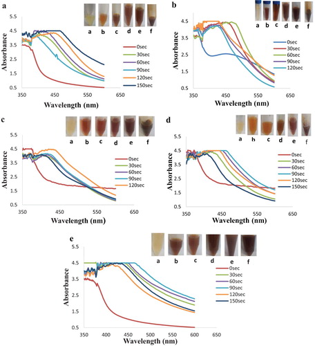 Figure 1. UV–Visible spectra and photographic representation of silver nanoparticle synthesis by aqueous extract of C. Paradisi peel extract at mixing ratio (a) 1:1; (b) 3:2; (c) 2:3; (d) 4:1; (e) 1:4 at different time interval.