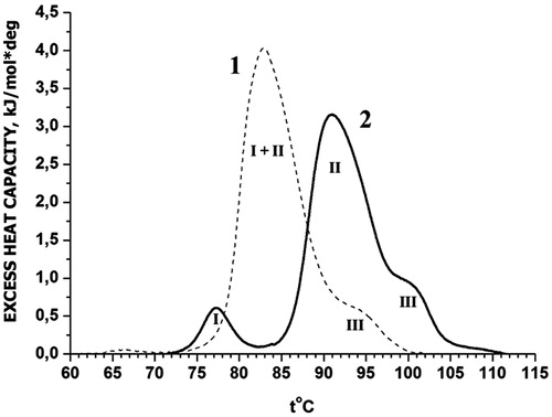 Figure 2. DSC profiles of rat liver nuclei in buffer B: 1 – control; 2 – with Dst (molar ratio Dst/DNA =0.1). I, II, III – designations of thermal transitions.