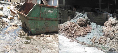 Figure 1. Mishandled solid waste from Awash Tannery