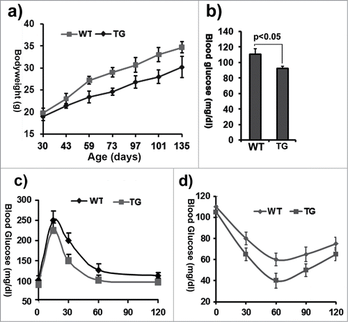 Figure 2. Characterization of ClipR-59 transgenic mice. (a) Growth rates of ClipR-59 transgenic mice and their wildtype littermates (n = 6). (b) Fast glucose blood levels of ClipR-59 transgenic mice (TG) and their wildtype littermates. The bar graph shows means ± STDV, n =6. P < 0.05. (c) Glucose tolerance of wildtype and ClipR-59 transgenic mice (n = 6). (d) Insulin tolerance assay of wildtype and ClipR-59 transgenic mice (n = 6).The error bar shows ± STDV (n = 6).