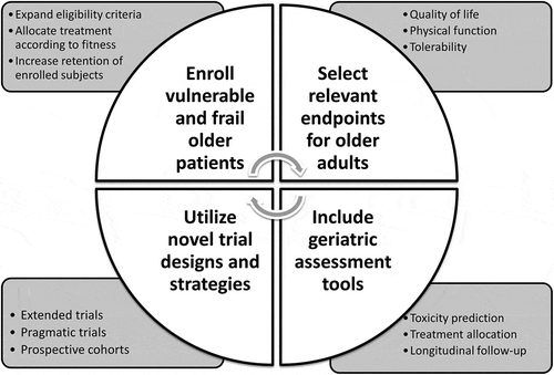 Figure 1. Considerations for the design of clinical trials in older adults with cancer.
