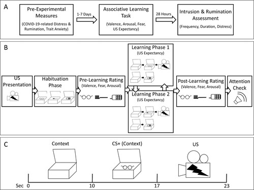 Figure 1. Illustration of the study procedure.Note. (A) General study procedure. (B) Procedure of the differential associative learning task. (C) Stimulus presentation in a reinforced CS+ trial during the differential associative learning task. CS+ = conditioned stimulus; US = unconditioned stimulus.