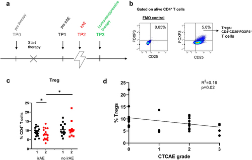 Figure 2. Characterization of Tregs in melanoma patients during irAE onset. (a) Peripheral blood samples were collected and PBMCs were isolated at indicated time points: Time point TP 0 - before ICI therapy start, TP 1 - before irAE onset (irAE group)/during ICI therapy (no irAE group); TP 2 - at the time of irAe/during ICI treatment (no irAE group); TP 3 - during immunosuppressive therapy to treat irAE. (b) Representative dot plots for CD4+CD25+FOXP3+ Tregs. (c) results are presented as the frequency of circulating Tregs among live total CD4+ T cells from patients with irAE (n = 18) and without irAE (n = 13–14) (d) the frequency of Tregs within total CD4+ T cells is plotted against the CTCAE grading. No irAE is defined as CTCAE grade 0. For patients with more than one irAE at the same time, the highest examined CTCAE grade is chosen. *P < .05.