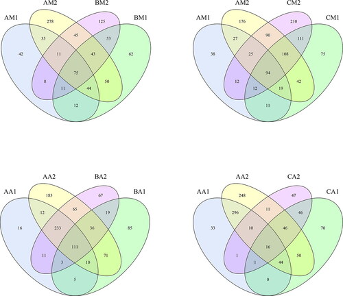 Figure 2. Shared operational taxonomic unit (OTU) analysis of the different communities. Venn diagrams showing the unique and shared OTUs in the different communities, (A) for the AM1, AM2, BM1, and BM2 communities, (B) for the AM1, AM2, CM1, and CM2 communities, (C) for the AA1, AA2, BA1, and BA2 communities and (D) for the AA1, AA2, CA1, and CA2 communities. Sample names refer to samples as described in Table 1.