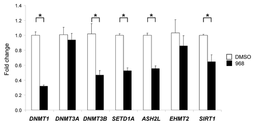 Figure 3. Expression of DNMT1, DNMT3A, DNMT3B, SETD1A, ASH2L, EHMT2 and SIRT1 histone-modifying genes in the DMSO control and compound 968-treated MDA-MB-231 human breast cancer cells. Total RNA from the untreated and compound 968-treated cells was used to evaluate transcript abundance of DNMT1, DNMT3A, DNMT3B, SETD1A, ASH2L, EHMT2 and SIRT1 genes. The gene expression was determined by qRT-PCR as detailed in “Materials and Methods.” Data are presented as an average fold change in the expression of each gene in the Compound 968-treated cells relative to that in the corresponding DMSO control cells, which were assigned a value 1. Asterisks denote a significant (p < 0.05) difference from the DMSO control cells (n = 3)