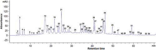 Figure 3. Chromatogram of the phenolic compounds at 280 nm from dried blackcurrant pomace. Peaks identification: 12 - protocatechuic acid, 13 - procyanidin B1, 15 - epigallocatechin, 18 - catechin, 20 - chlorogenic acid, 22 - (–) - epicatechin, 23 - caffeic acid, 24 - syringic acid, 27 - procyanidin A1, 32 - p-coumaric acid, 34 - ellagic acid, 36 - quercetin 3-D-galactoside, 37 - quercetin 3-β-D-glucoside, 42 - hesperidin, 50 - luteolin, 54 - kaempferol, 1–11, 14, 16, 17, 19, 21, 25, 26, 28–31, 33, 35, 38–41, 43–49, 51–53, 55, 56 - unidentified compounds.