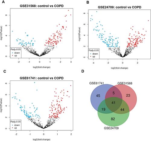 Figure 3 DEmiRNAs between COPD blood samples and control blood samples. (A) The volcano plot of DEmiRNAs in GSE31568 by GEO2R tool. (B) The volcano plot of DEmiRNAs in GSE24709 by GEO2R tool. (C) The volcano plot of DEmiRNAs in GSE61741 by GEO2R tool. (D) Venn diagram of DEniRNAs in the three datasets GSE31568, GSE24709 and GSE61741.