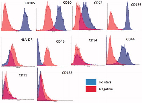 Figure 2. Flow cytometry analysis of eyelid fat derived stem cells (EFDSCs) for surface markers CD34, CD45, CD166, CD73, CD44, CD105, CD90, and CD31. The blue color indicates positives and red one indicates negatives.