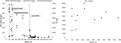 Figure 4 Relationship between redox-active chemical species and redox values in Round Lake, 2010.