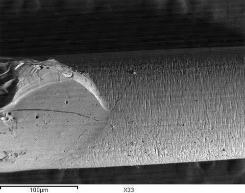 Figure 17 Representative SEM of silica coating treated group attached to IPS empress core (original magnification 33) demonstrating increased cohesive failure and less type of adhesive failure.