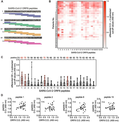 Figure 1. Identification of immune linear epitopes of SARS-CoV-2 ORF8 protein using the serum of COVID-19 patients. (A) Localization and sequences of the peptides on SARS-CoV-2 ORF8 protein (NCBI Reference Sequence: YP_009724396.1) as shown. (B) Sera of COVID-19 patients (n = 40) at 3–64 days post-symptom onse at 1:100 dilution were subjected to peptide-based ELISA using paptide covering the entire ORF8 protein in (A). The landscape of adjusted epitope-specific antibody levels in each COVID-19 patient (n = 40) is shown. The ELISA results as patient OD values subtracted of cut-off values are presented, negative values are plotted as zero. The cut-off for seropositivity was set as the mean value of individual control serum sample or serum pools of serum taken in October 2019 (n = 100) plus two times of standard deviation. (C) The seropositive rates of each peptide in COVID-19 patients (n = 40) in (B) were determined. (D) Associations of anti-ORF8 peptide 1, 2, 8 and 15 and anti-ORF8 recombinant protein IgG in the sera of COVID-19 patients at 13–64 days’ post-symptom onset (n = 33). p Values were calculated by Pearson correlation coefficients. Data were presented as mean ± standard deviation. Not Significant, n.s. p > .05.