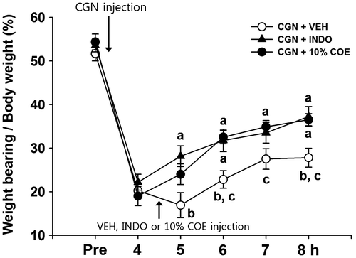 Fig. 2. Inhibitory effects of 10% Chamaecyparis obtusa essential oil (COE; 50 μL, intra-articularly) and indomethacin (INDO; 10 mg/kg, 50 μL, i.a.) on weight load in carrageenan (CGN)-induced arthritic rats.