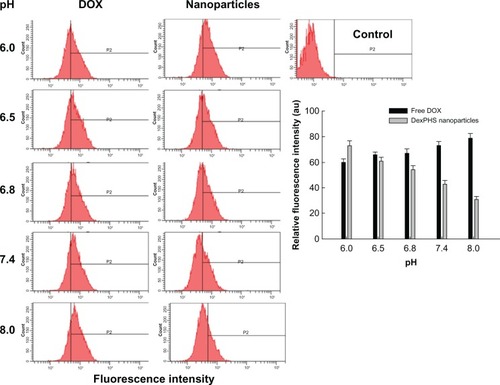 Figure 6 Flow cytometric analysis of HuCC-T1 cells after one hour of incubation with doxorubicin or DexPHS-2 nanoparticles incorporating doxorubicin at various pHs. In the bar graph, the values are from three different flow cytometry experiments. The y-axis represents the extent of the P2 region.Abbreviations: DOX, doxorubicin; DexPHS, dextran-b-poly(L-histidine).