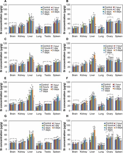 Figure 2 Tissue distributions of silica nanoparticles in rats after a single oral administration.Notes: (A) Oral administration of 500 mg/kg of 20 nm nanoparticles in males. (B) Oral administration of 500 mg/kg of 20 nm nanoparticles in females. (C) Oral administration of 500 mg/kg of 100 nm in males. (D) Oral administration of 500 mg/kg of 100 nm in females. (E) Oral administration of 1,000 mg/kg of 20 nm nanoparticles in males. (F) Oral administration of 1,000 mg/kg of 20 nm nanoparticles in females. (G) Oral administration of 1,000 mg/kg of 100 nm in males. (H) Oral administration of 1,000 mg/kg of 100 nm in females. There are statistically significant differences between columns labeled (a) and columns labeled (b) (P<0.05).Abbreviation: Si, silicon.