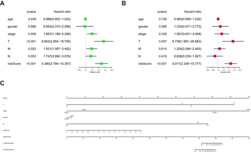 Figure 5 Cox’s proportional hazard model of correlative factors in colon cancer patients. (A) Univariate Cox regression analysis for seven clinicopathological parameters affecting the overall survival. (B) Multivariate Coxregression analysis for seven clinicopathological parameters affecting the overall survival. (C) An established nomogram to predict survival based on Cox model.