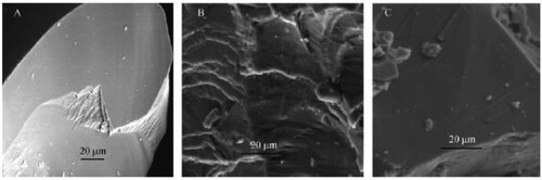 Figure 5. SEM images of chalcopyrite (b) and pyrohititis (c), where pyrite (a) is oxidised.