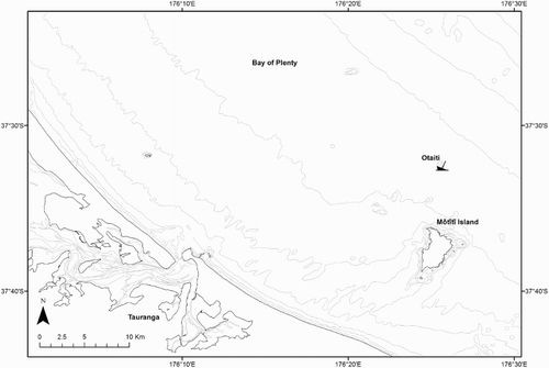 Figure 1. Map of the Bay of Plenty showing the location of the MV Rena on Otaiti (Astrolabe Reef), Mōtītī Island and Tauranga.