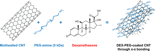 Figure S1 A reaction schematic of DEX-PEG-coated CNT functionalization.Abbreviations: CNT, carbon nanotube; DEX, dexamethasone; PEG, polyethylene-glycol.
